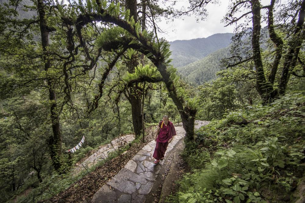 idesign bhutan quoc gia dau tien co luong khi thai carbon am 01