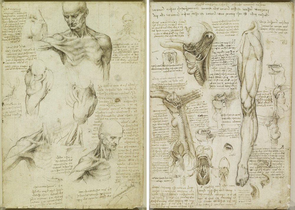 leonardo da vinci khac biet 01