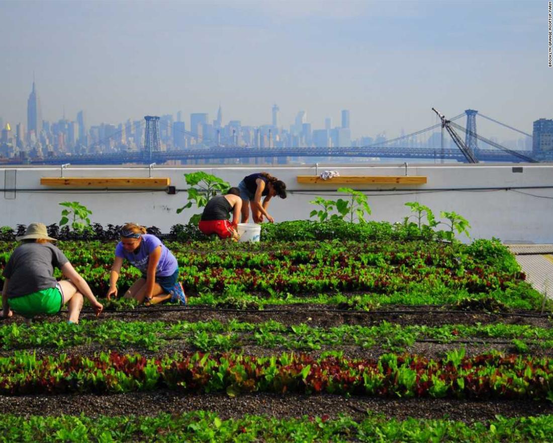 180301115513 10 urban farms custom 54