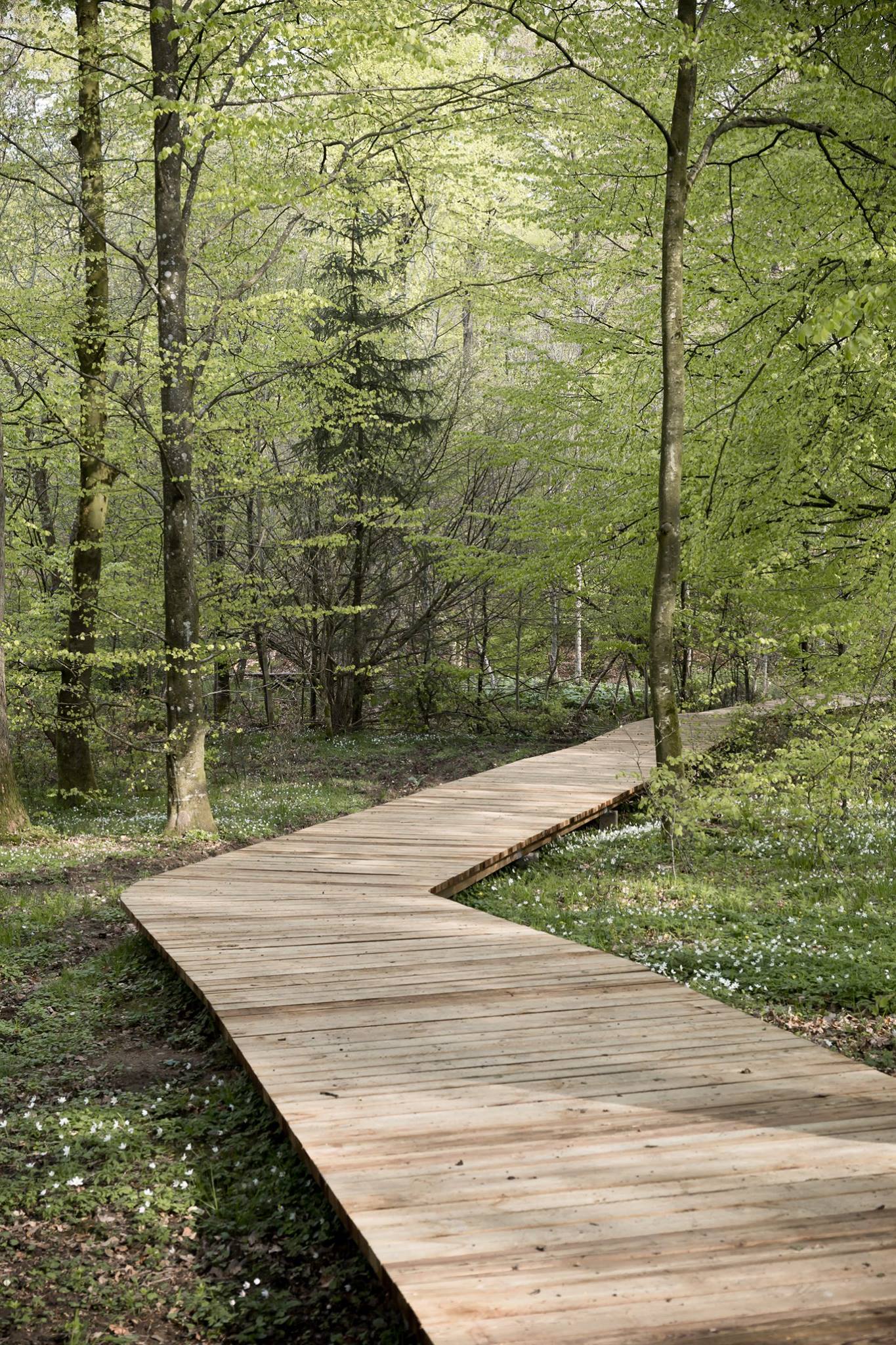 idesign daobuocngangnhungngoncay 19 1