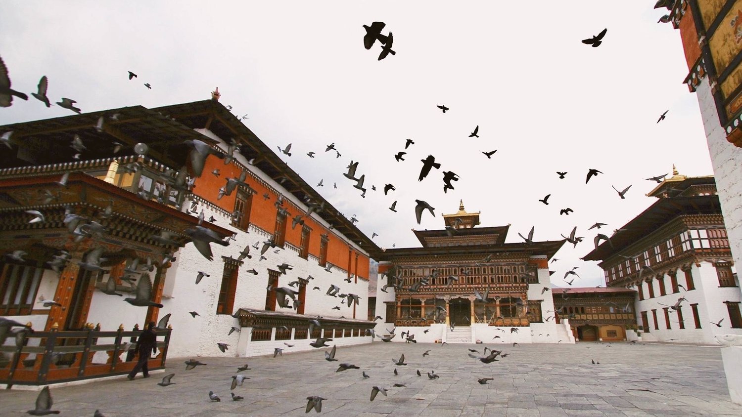 travelherwayimage006