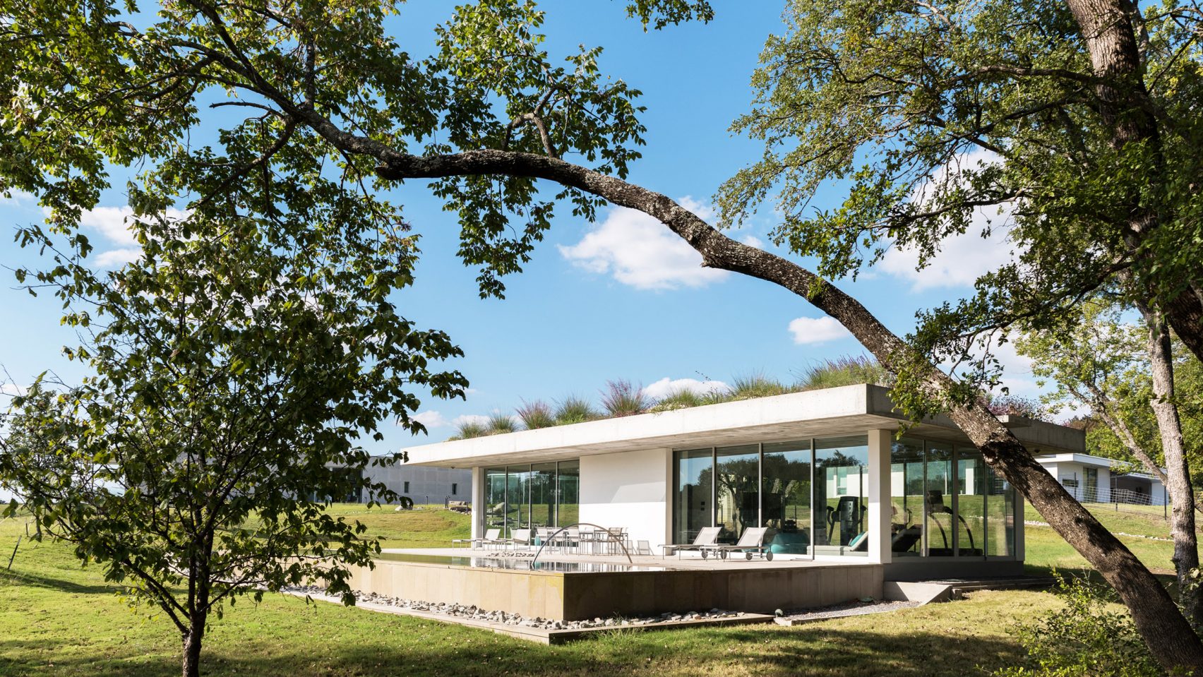idesign phu xanh mai nha o texas bang cay ban dia 1
