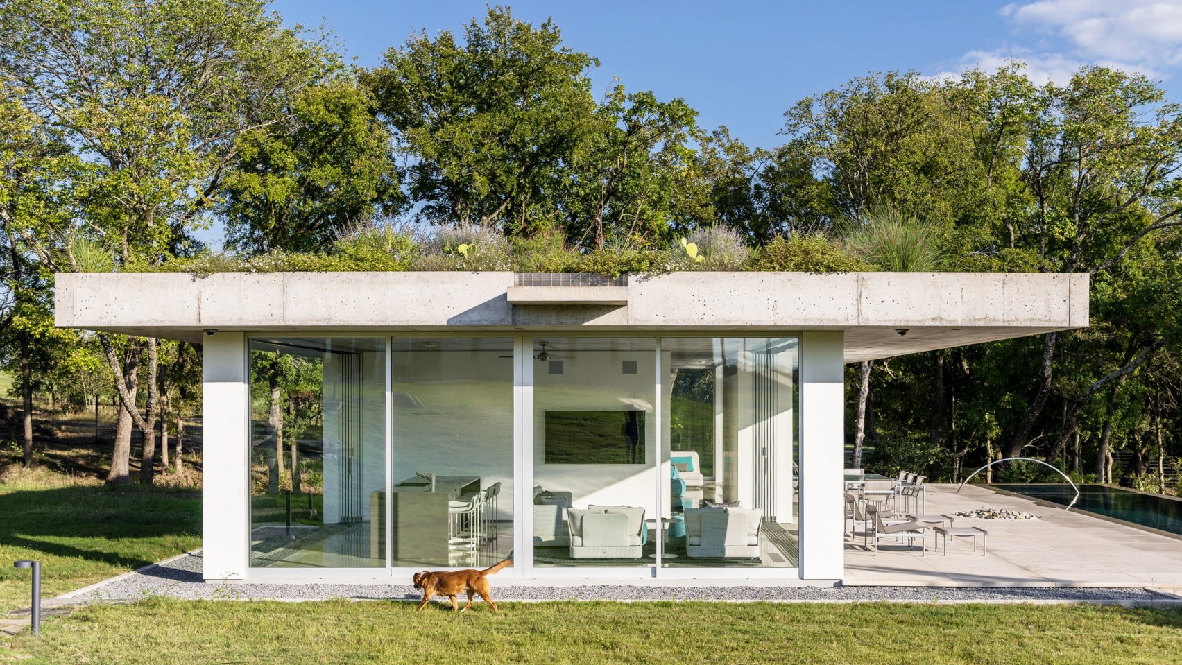 idesign phu xanh mai nha o texas bang cay ban dia 2