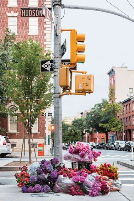 idesign chi trong mot dem thanh pho new york phu day hoa mot cach bi an va day la nguyen nhan 2