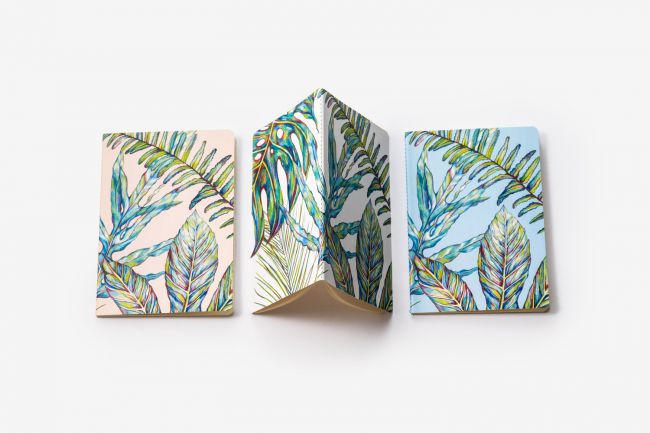 idesign 5 dieu nen va khong nen danh cho cac illustrator nhap mon 01