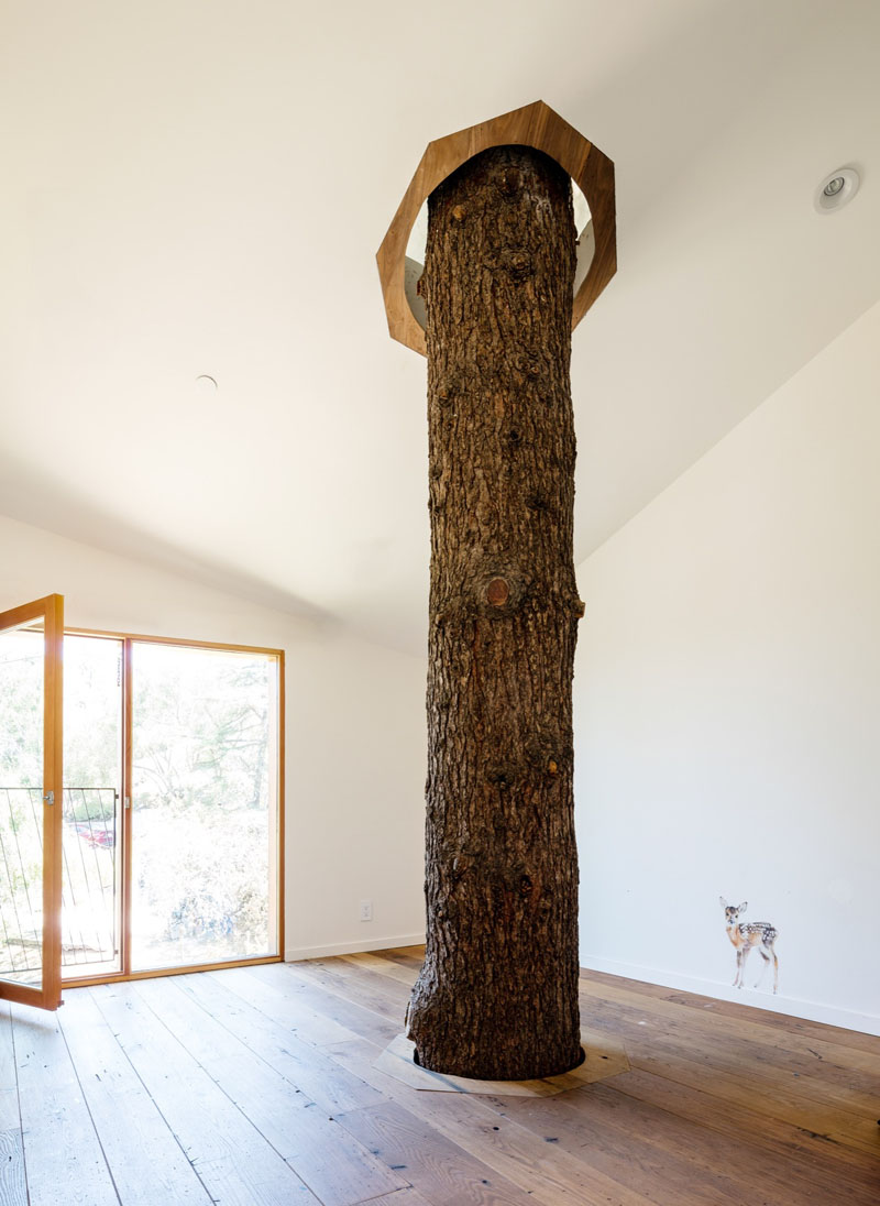 house with real tree inside 090117 1145 10