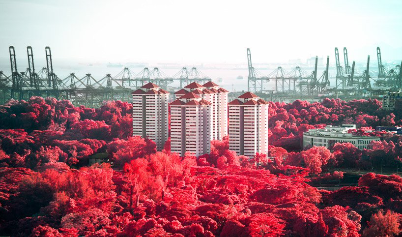 id floral phantasmagoria 11
