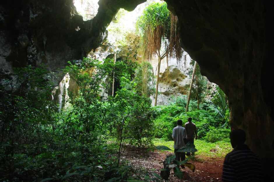 idesign suot 78 000 nam qua co nhung nguoi da coi hang dong kenyan forest la nha 02