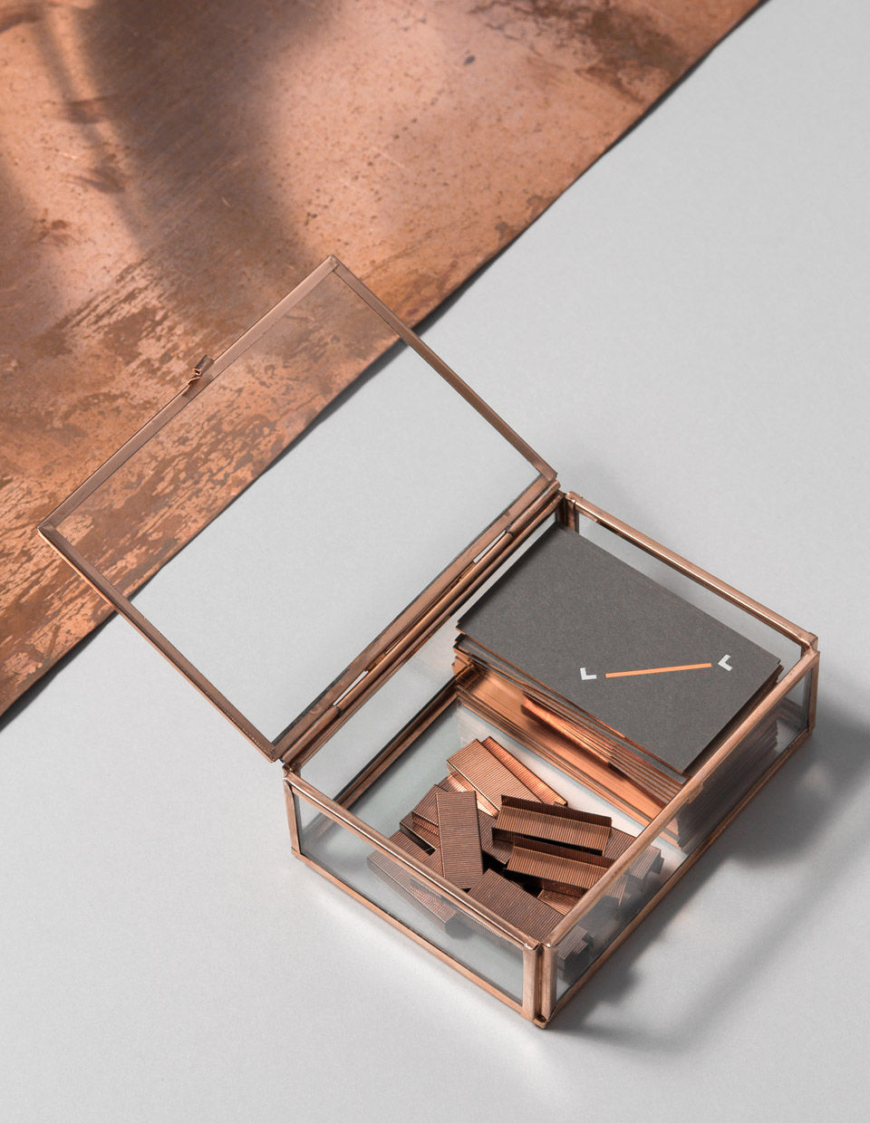 idesign veshalaw 010 1