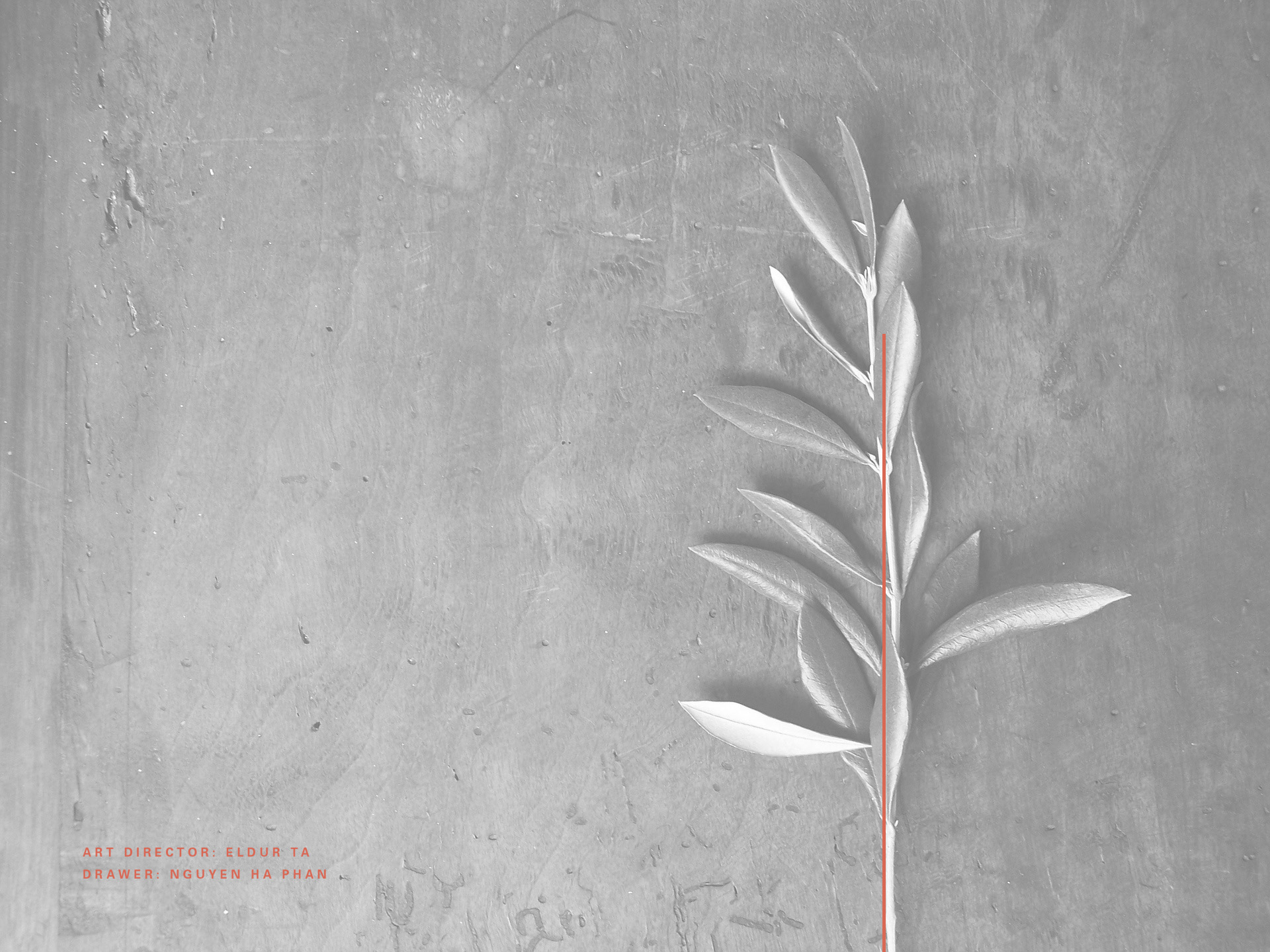 idesign olivia 015