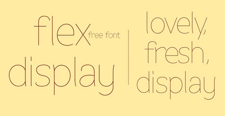 100-fonts-2013-24