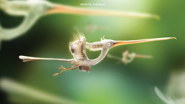 viet-bird-03
