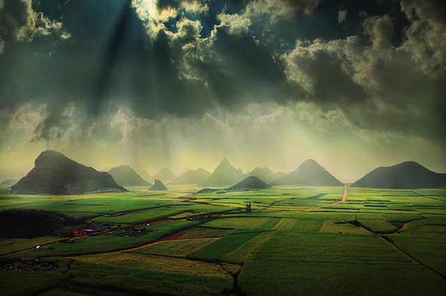 Catching-the-Light-8