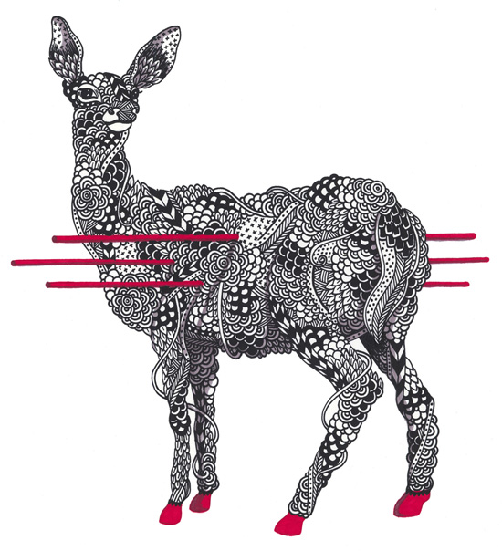kirsten-mccrea-doe-web1