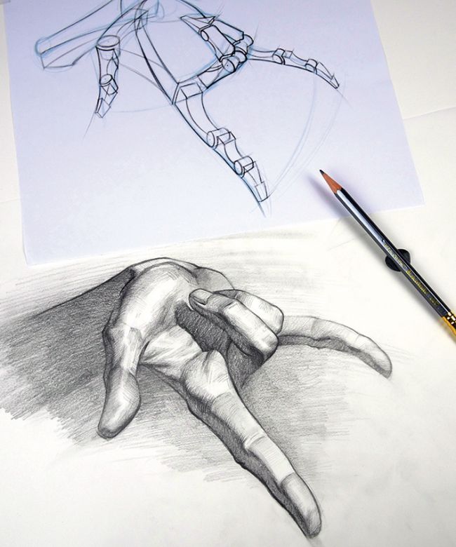 Idesign | 12 Lời Khuyên Cần Biết Cho Luyện Tập Vẽ Giải Phẫu Người