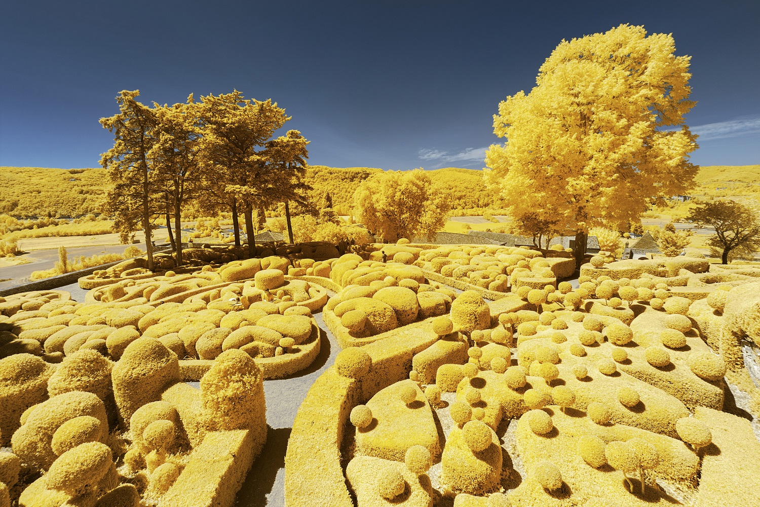 iDesign | Lạc vào thế giới khác qua bộ ảnh thiên nhiên màu vàng của NAG  người Pháp
