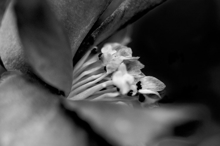 abstract photography anywhere 02
