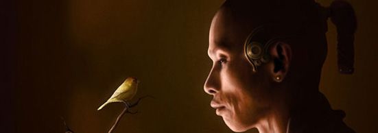 Phỏng vấn họa sĩ Digital-Art Anthony Scime