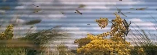 Các Video quảng cáo ấn tượng trong năm 2009