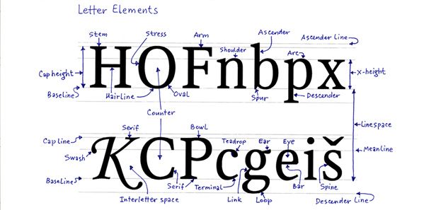 Thuật ngữ Typography