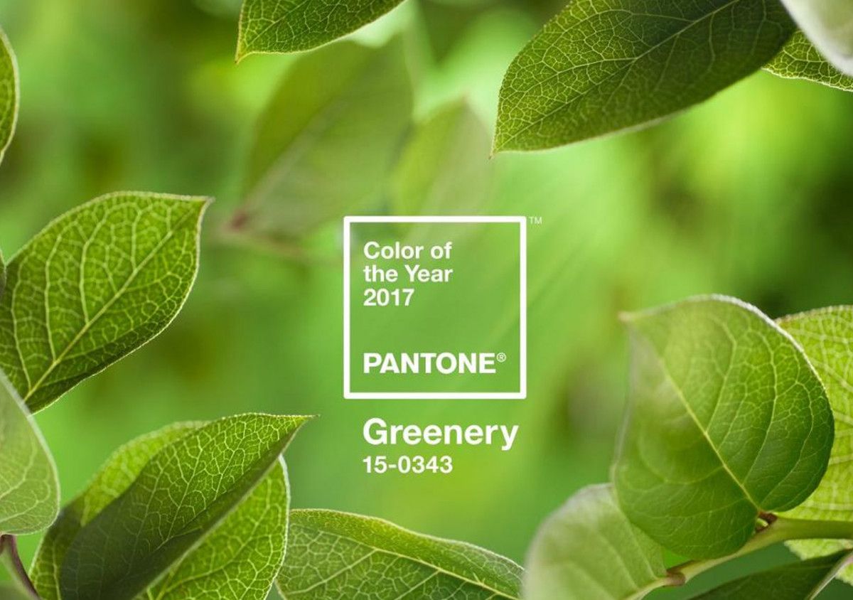 Pantone Công Bố Xu Hướng Màu Sắc 2017