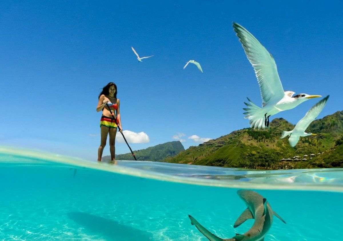 Những bức ảnh chưa từng qua photoshop này sẽ khiến bạn kinh ngạc!