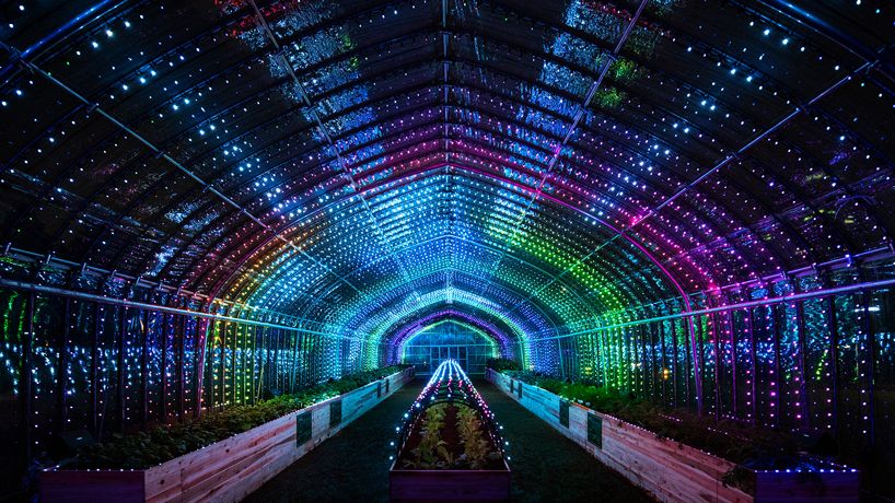 Vườn rau phát nhạc và ánh sáng giữa trung tâm Tokyo