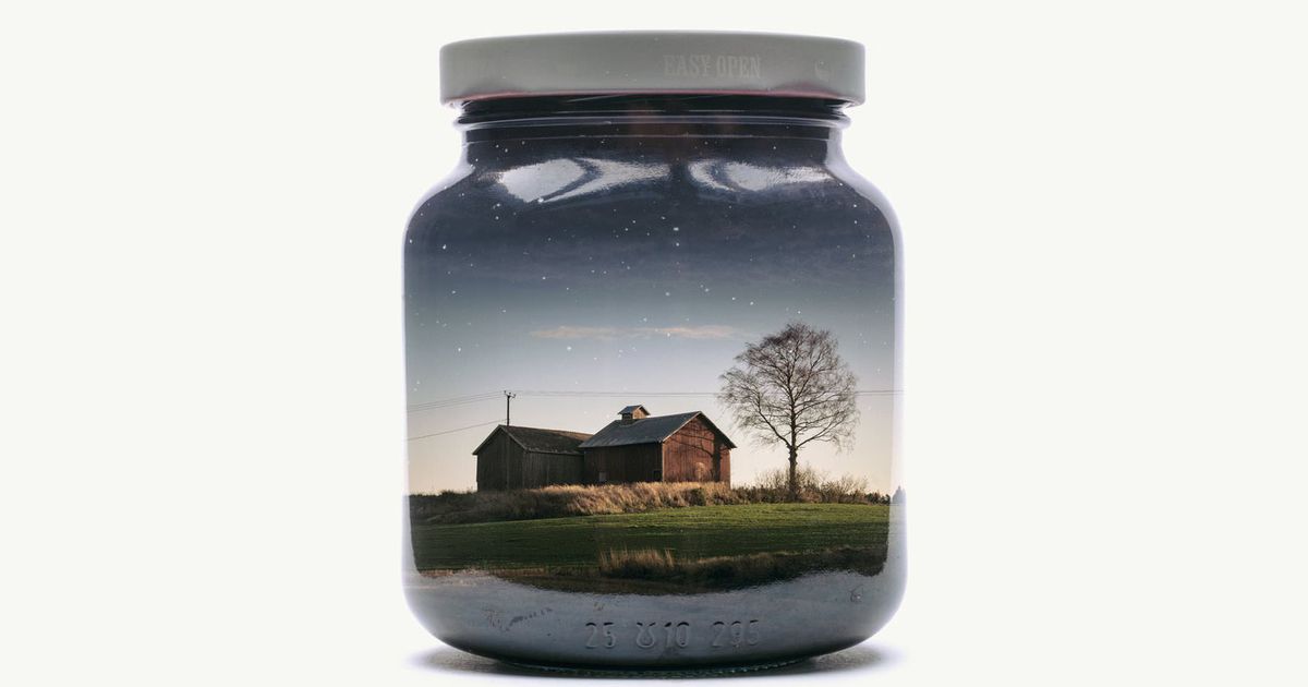 Nhiếp ảnh gia Christoffer Relander và thiên nhiên trong lọ thủy tinh