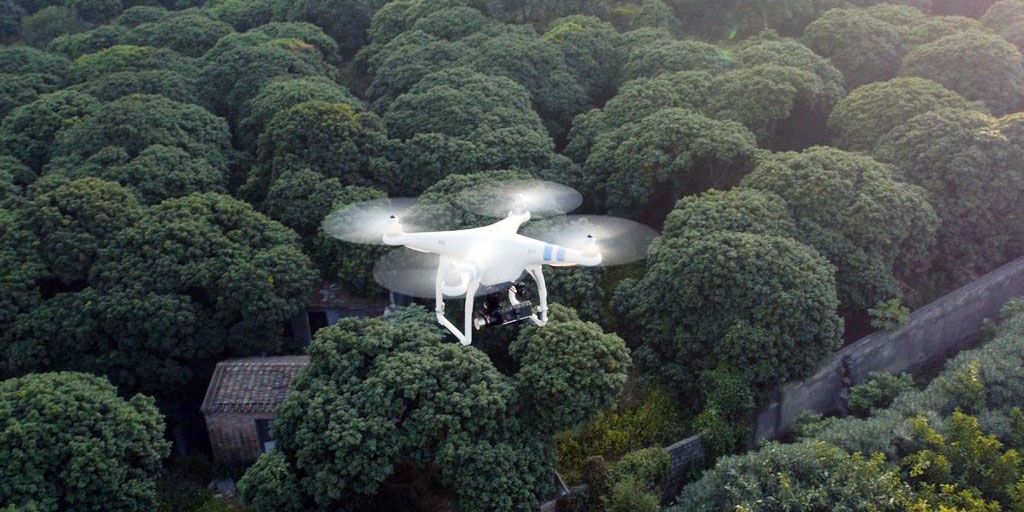 Máy bay gieo 100 ngàn hạt giống mỗi ngày