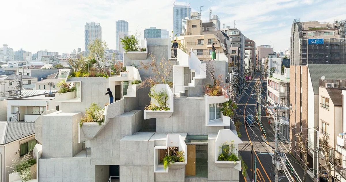 Tree-ness House - Ngôi nhà hình thành từ nguyên lý cây cối