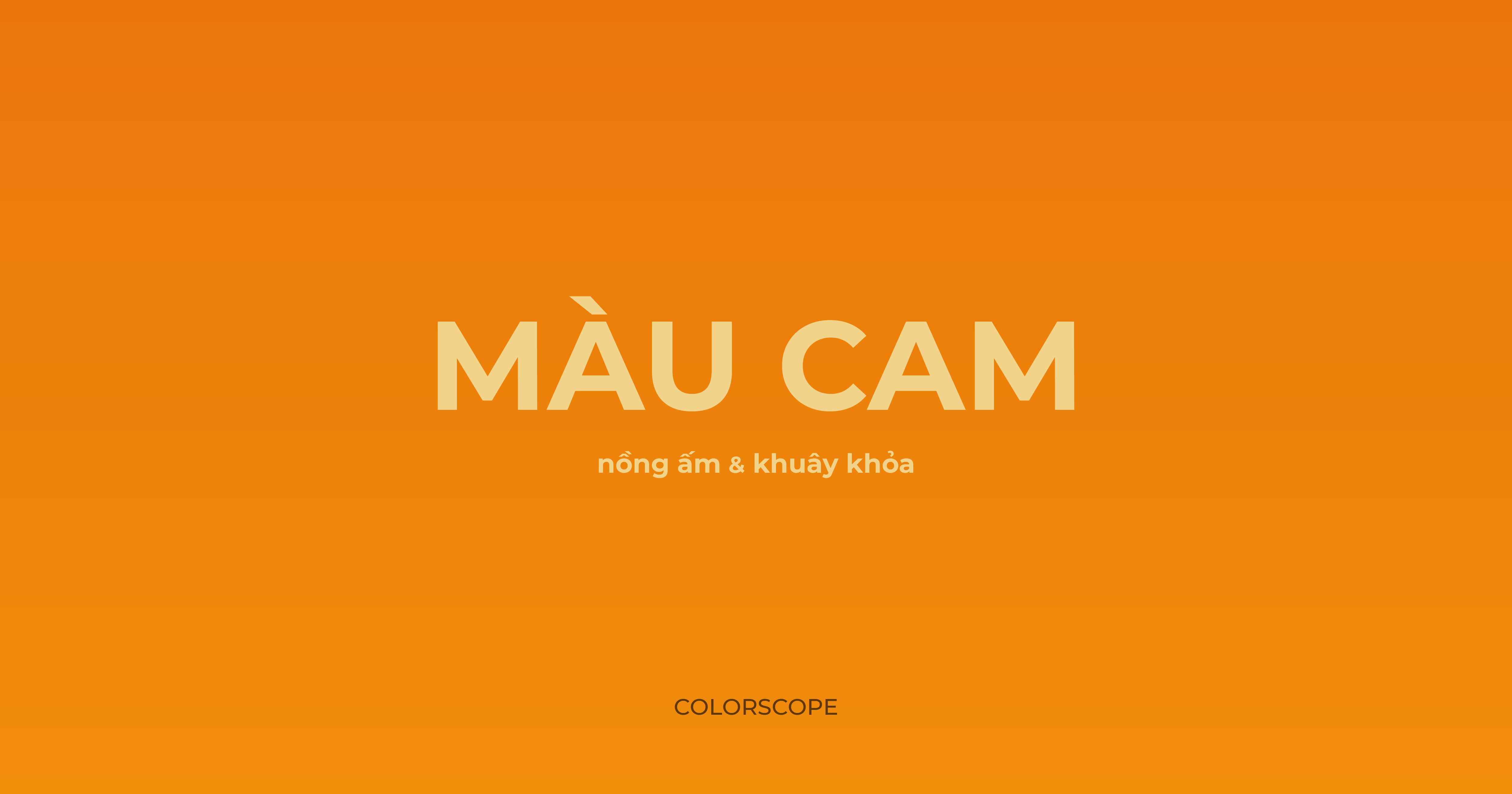 Màu của nồng ấm và khuây khỏa