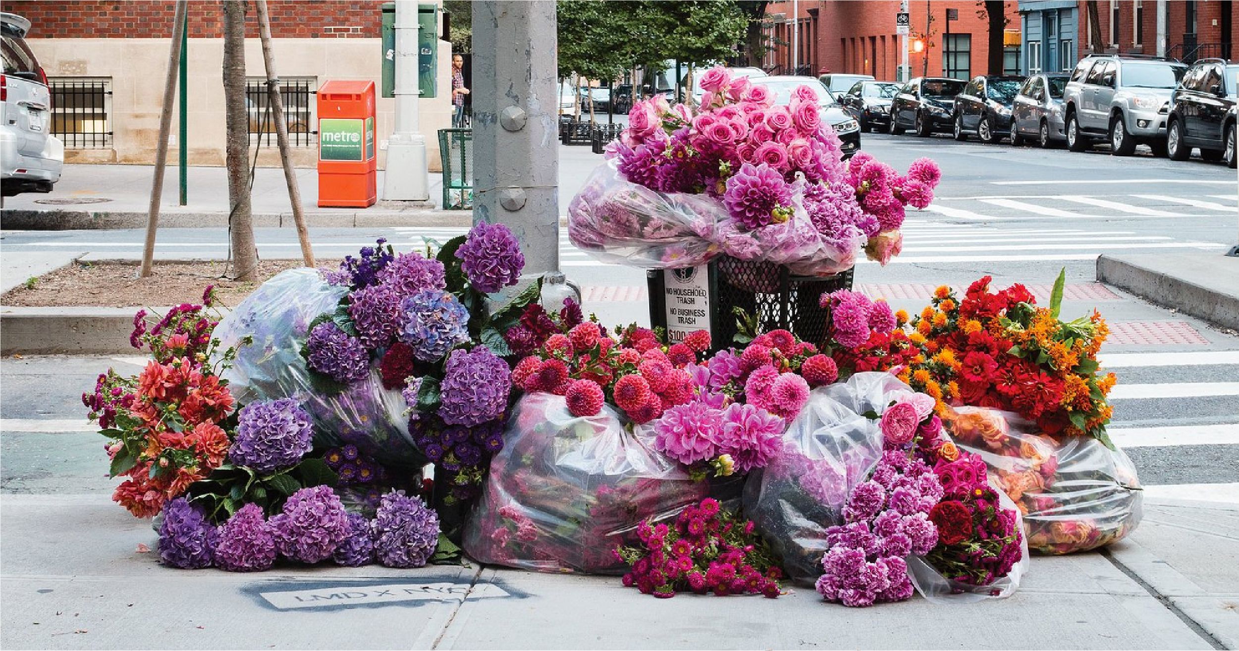 Nghệ sỹ New York biến thùng rác thành bình hoa