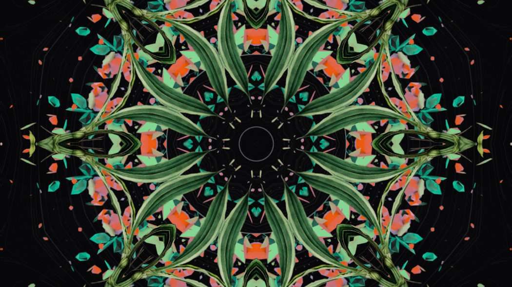 Chìm đắm trong thế giới thực vật cùng album Botanica