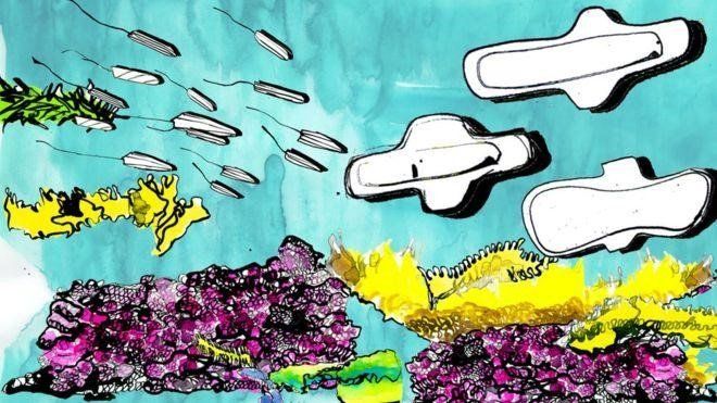Những người đấu tranh cho một kì nguyệt san không rác thải