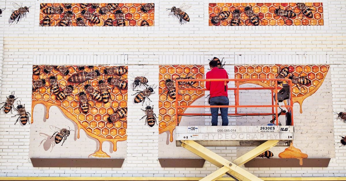 The Good of the Hive - Đi khắp thế giới vẽ 50 ngàn con ong