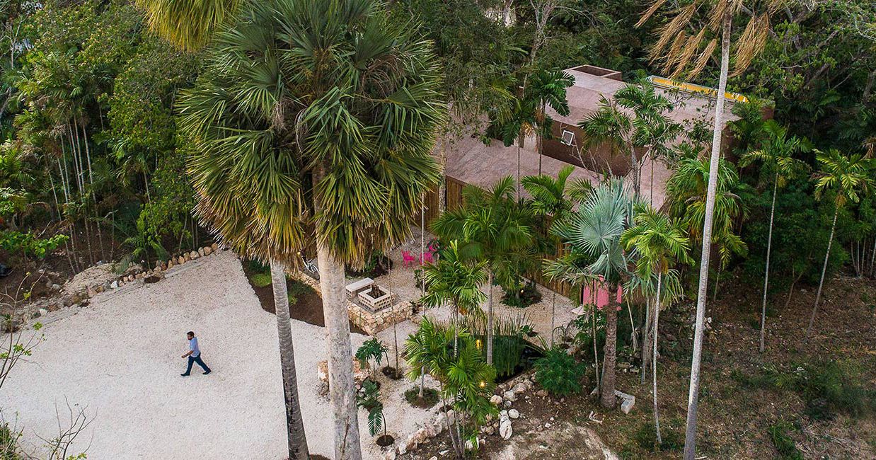 Mexico: Studio kiến trúc mọc lên giữa rừng cọ
