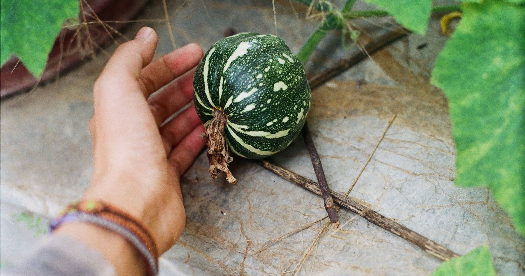 7 ngày để chuyển sang một lối sống không rác thải (Zero Waste)