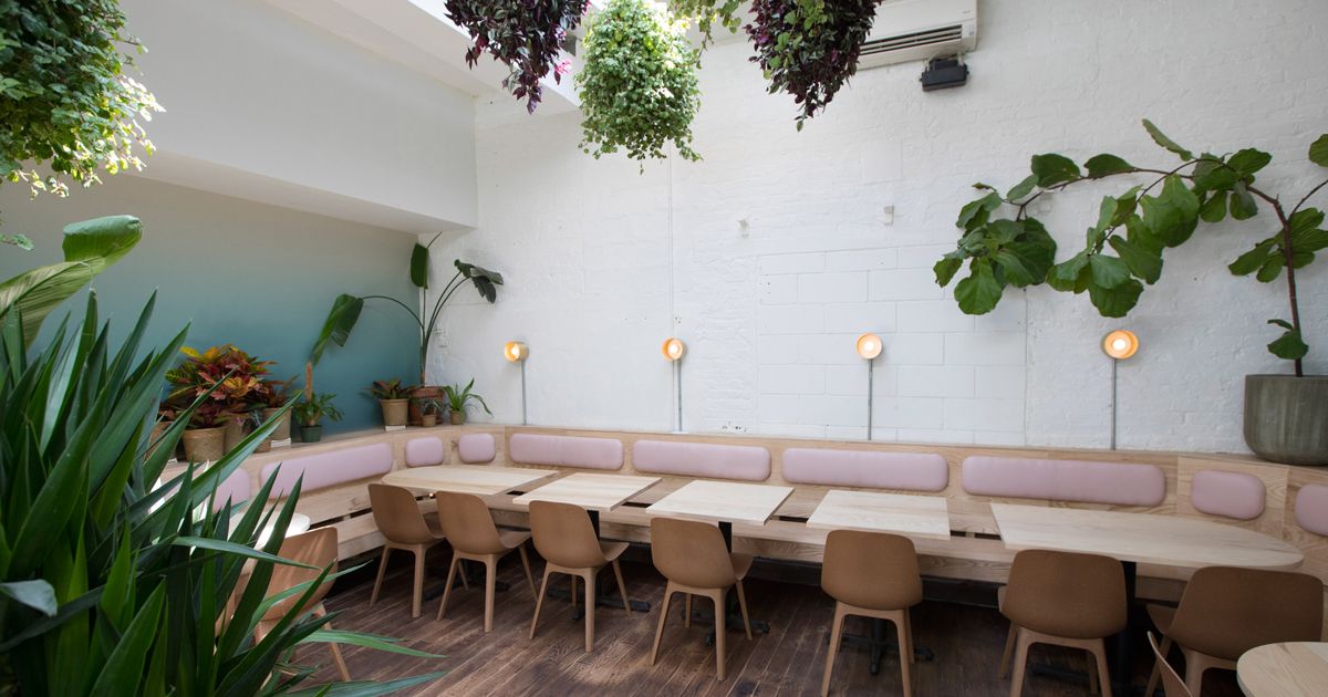 Nhà hàng Việt Nam mang không khí Đà Lạt đến Brooklyn