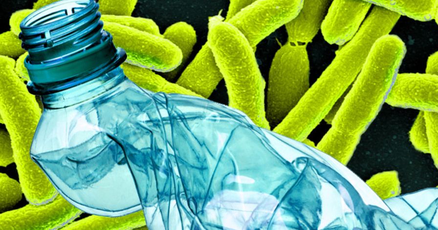 Các nhà khoa học bất ngờ làm đột biến enzyme khiến chúng ăn nhựa nhanh hơn