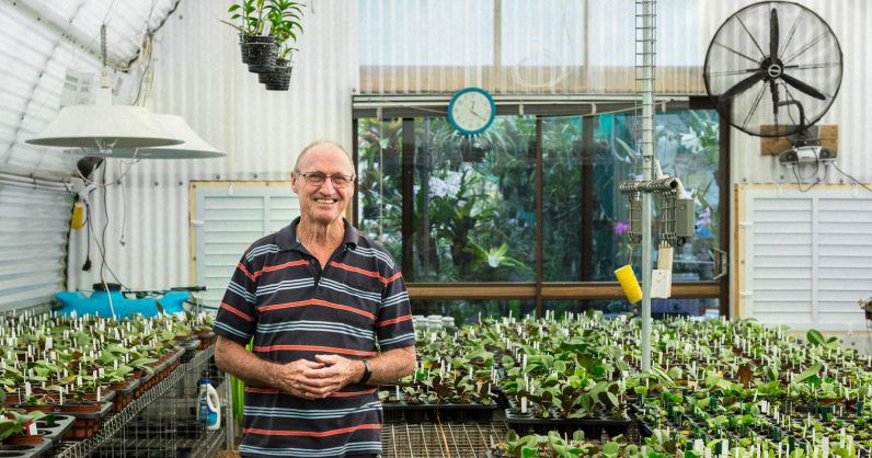Ông lão 73 tuổi và niềm đam mê cây không có điểm dừng
