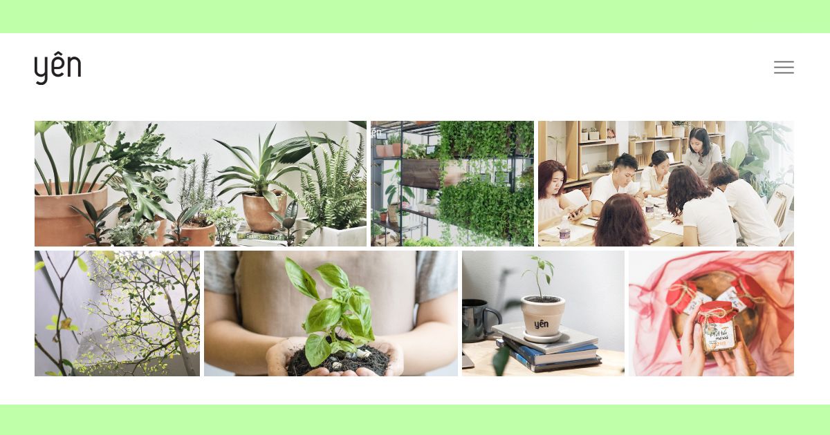 Yên Concept: Chậm lại trong nhịp sống vội vã