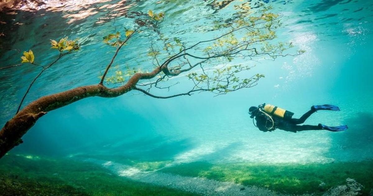 Thế giới đã thay đổi ra sao từ sự kiện Ngày Trái Đất lần đầu tiên