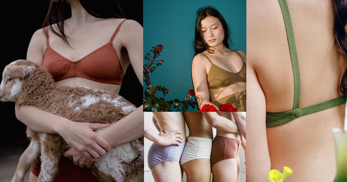 Pansy - Dẫn đầu xu hướng thời trang nội y bền vững