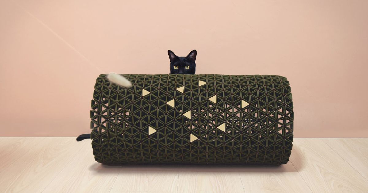 Đồ nội thất Peek A Boo cho phép bạn chơi đùa với bé mèo nhà mình