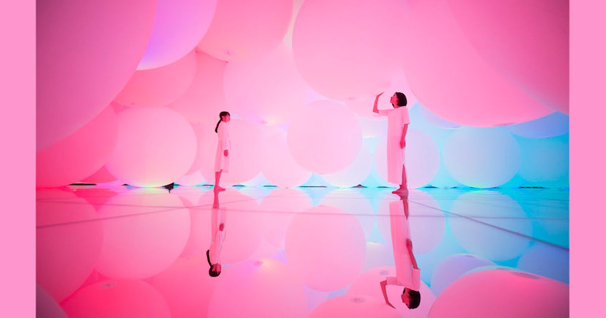 Triển lãm ngoạn mục của teamLab lần nữa khiến người xem trầm trồ