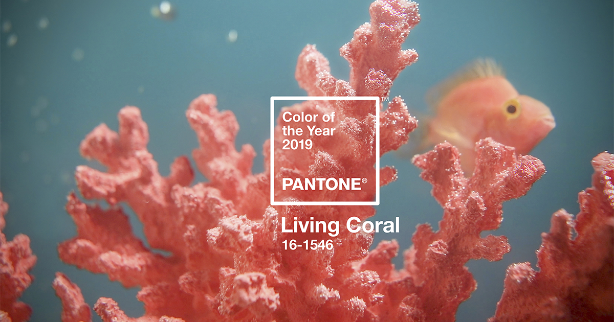 Viện màu sắc Pantone công bố “Color of The Year” 2019