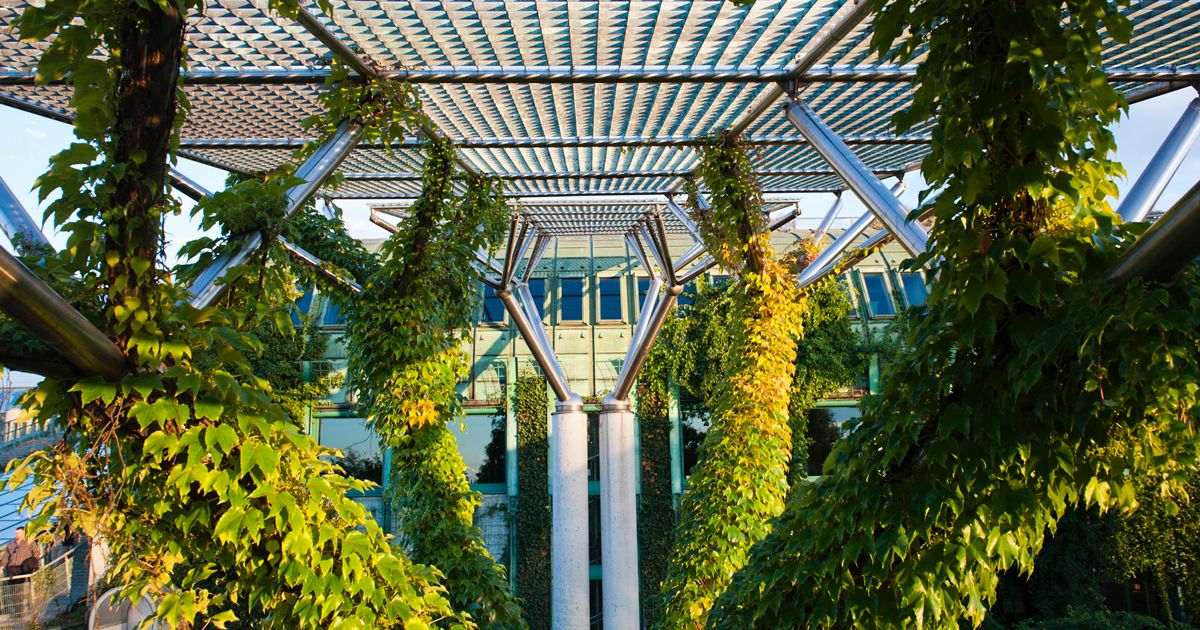 Thư viện trường Đại học Warsaw ngập tràn trong cây cối xanh tươi