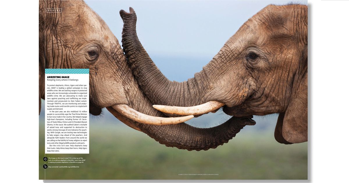 World Wildlife Magazine - Tạp chí bảo tồn thiên nhiên của WWF
