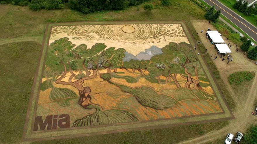 Stan Herd tái hiện lại tranh của Van Gogh từ cây và đất