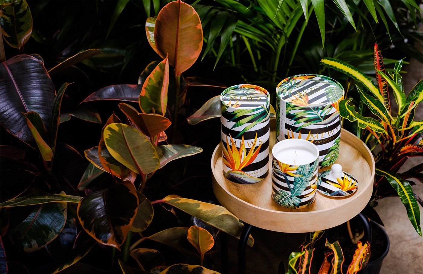 Bộ ảnh hoà mình vào thế giới sắc màu và ngào ngạt hương thơm từ Mews Collective